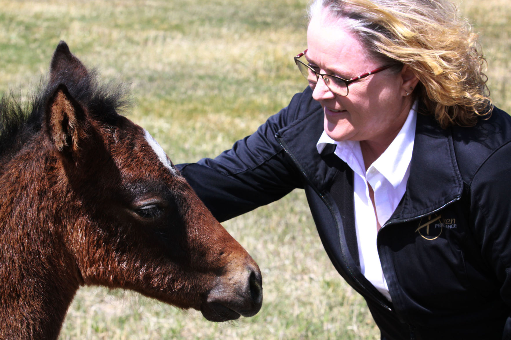 New foal